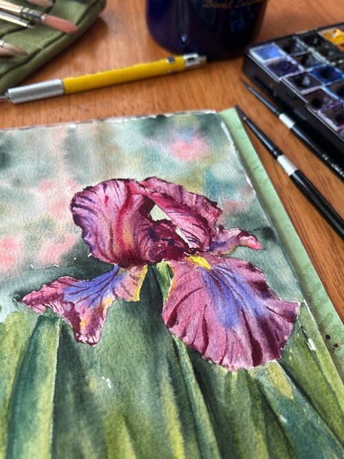 May 30th, Loose Iris Watercolor Class: 2HR