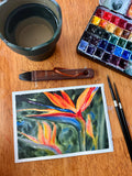 August 8th, Loose Watercolor Class: Birds of Paradise: 2HR